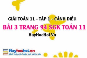 Giải bài 3 trang 94 Toán 11 tập 1 SGK Cánh Diều